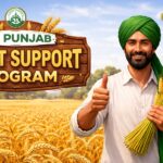 CM Punjab Wheat Support Program 2026